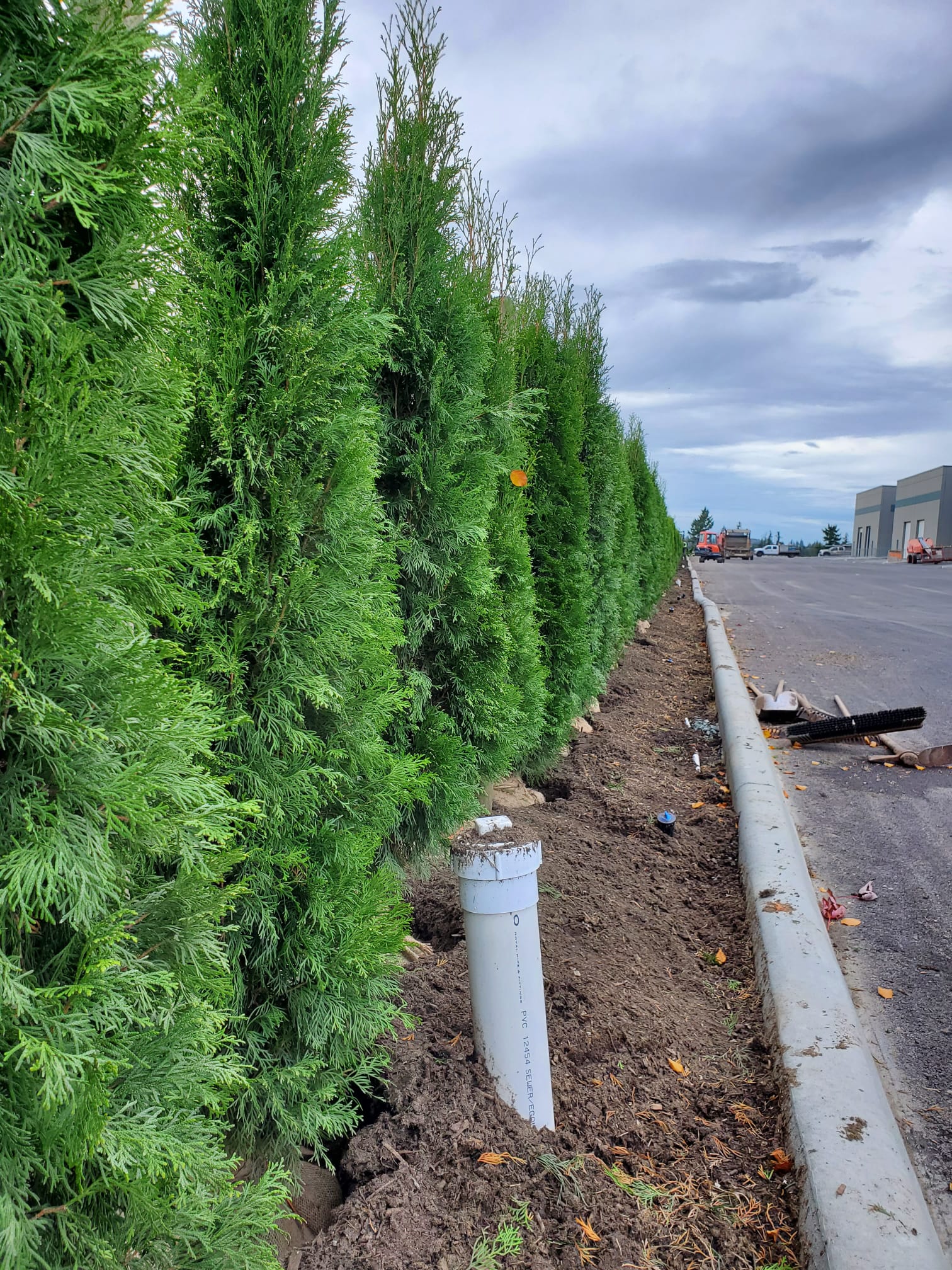 PLC Landscaping project photo