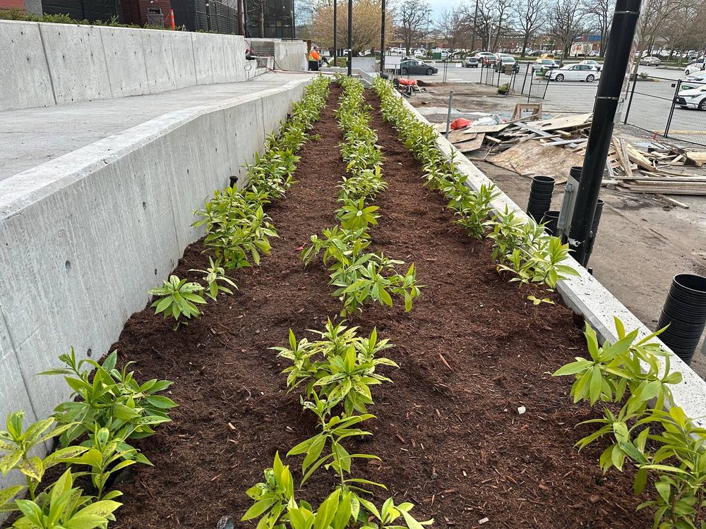 Planting & Turf Installation