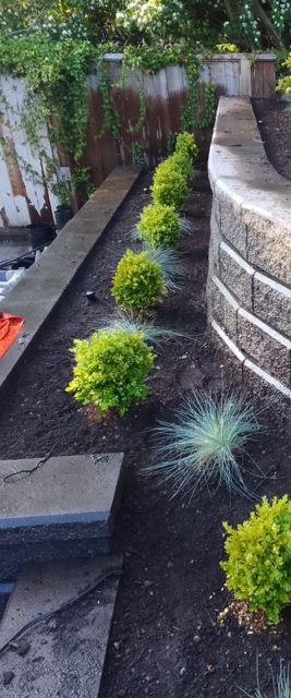 PLC Landscaping project photo