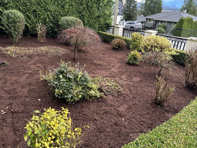 PLC Landscaping project photo
