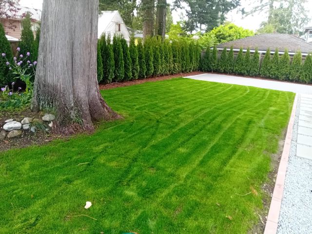 PLC Landscaping project photo
