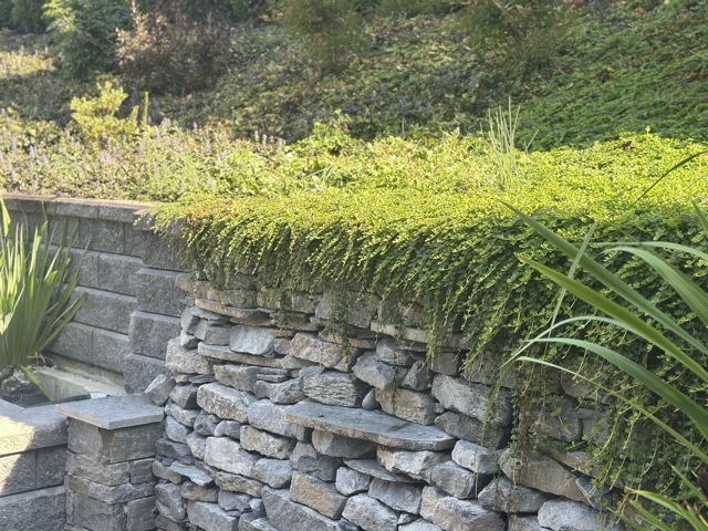 PLC Landscaping project photo